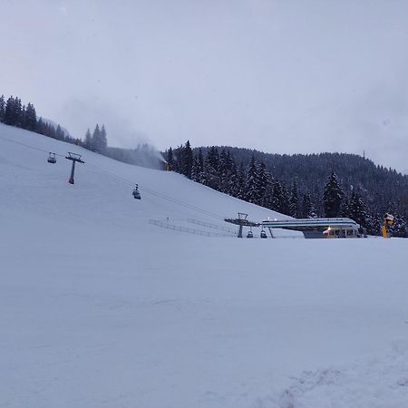 Blosegghof Bergchalets Waldblick راسيني المظهر الخارجي الصورة